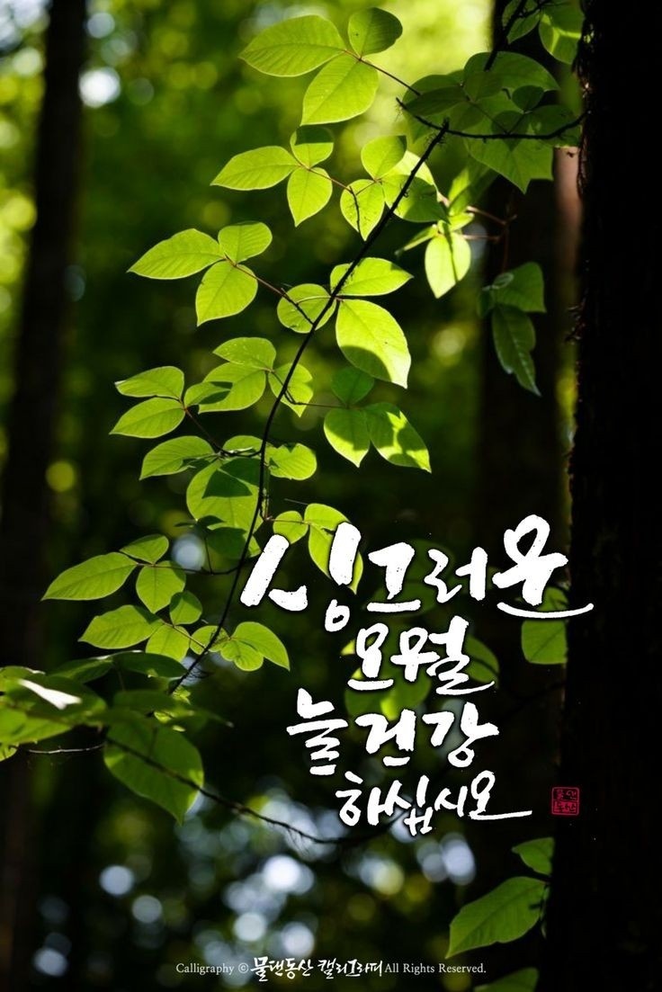 어느날오월 이미지
