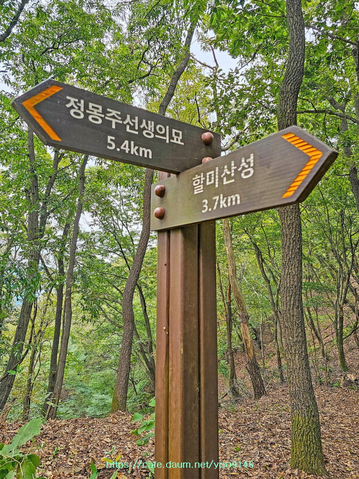 향수산 정상 이미지