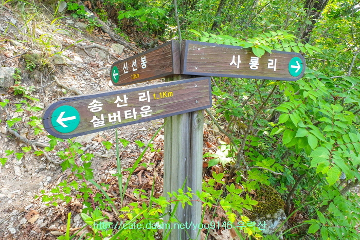 데크 조망점 이미지