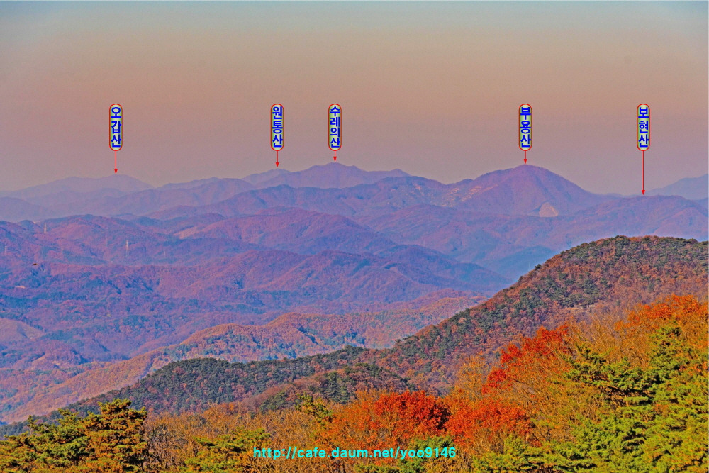 죽림산 정상 이미지