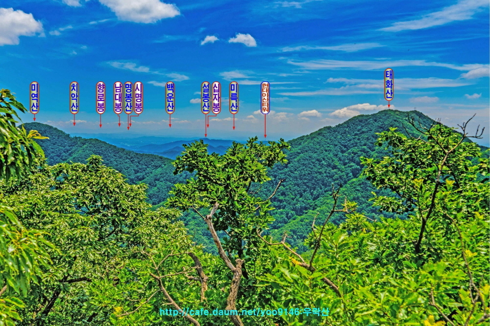 죽림산 정상 이미지