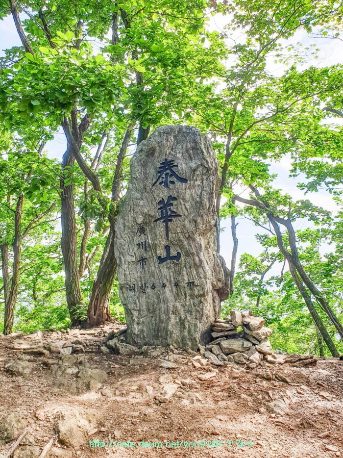 태화산 전경 이미지