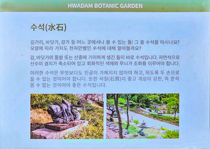 숲길 전경 이미지