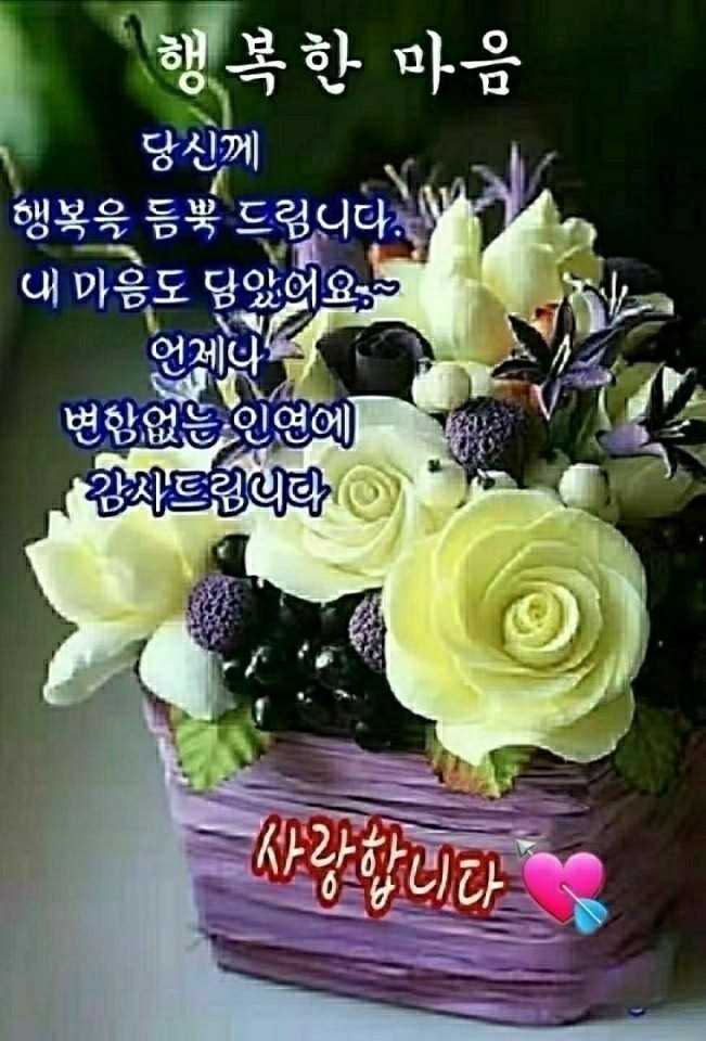 멋진인생 이미지