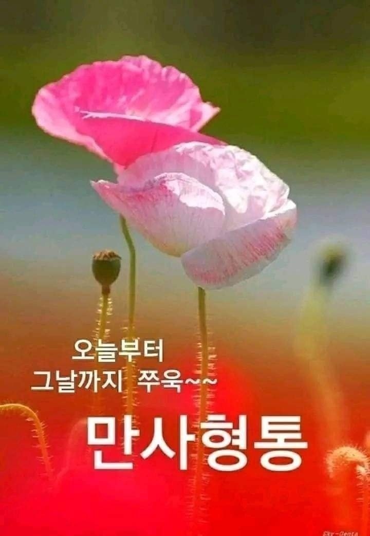 좋은세상좋은사람 이미지