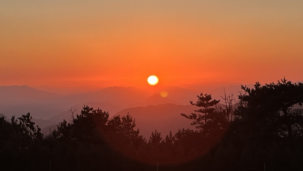 딸기탐탐 이미지