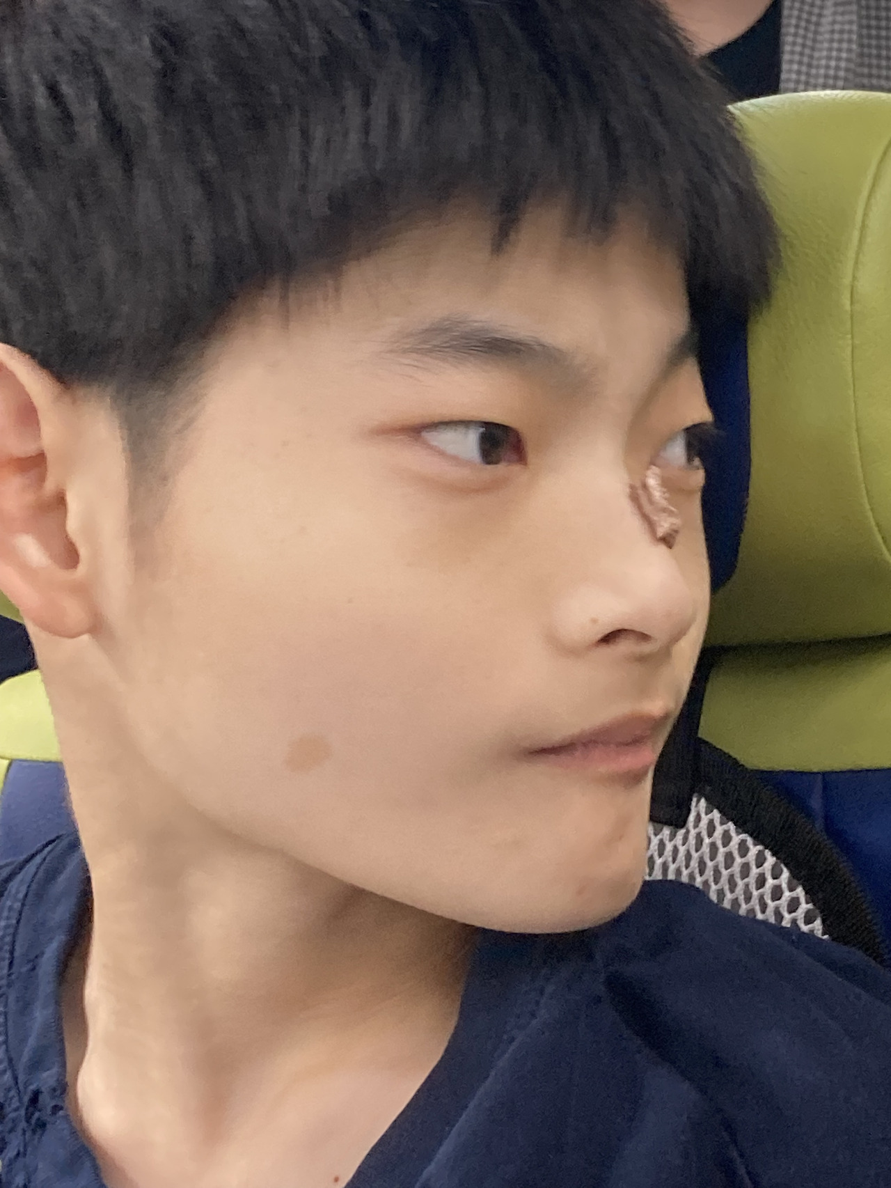 Daum 카페