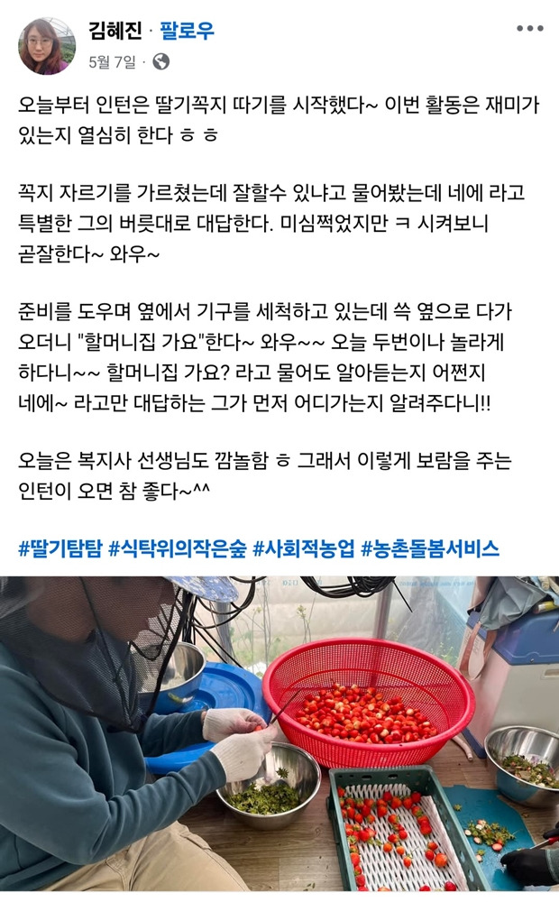 딸기탐탐 이미지