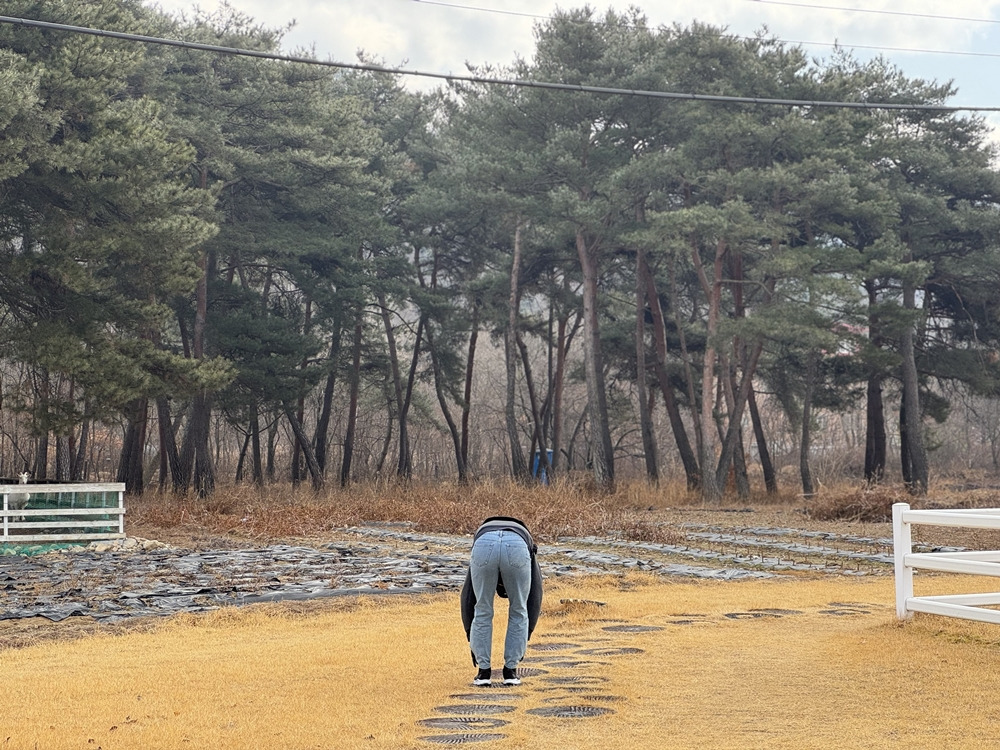오로라승마장 이미지