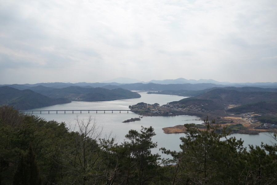 동실 이미지