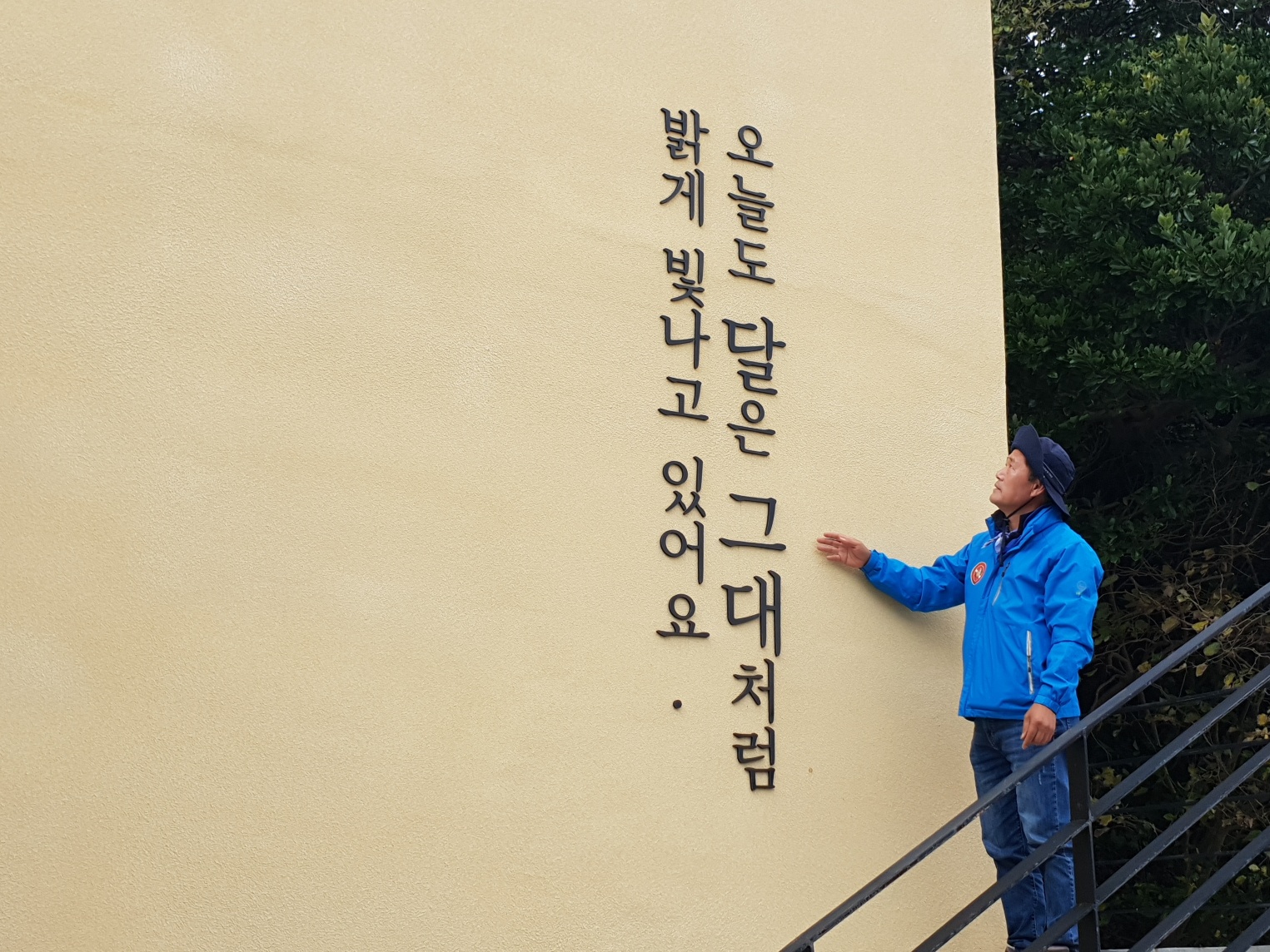 월호도요 이미지