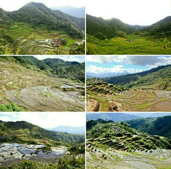 바나의 세계 이미지