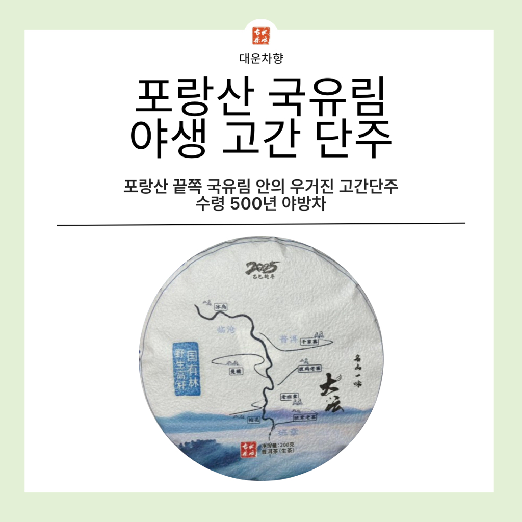 차향 이미지