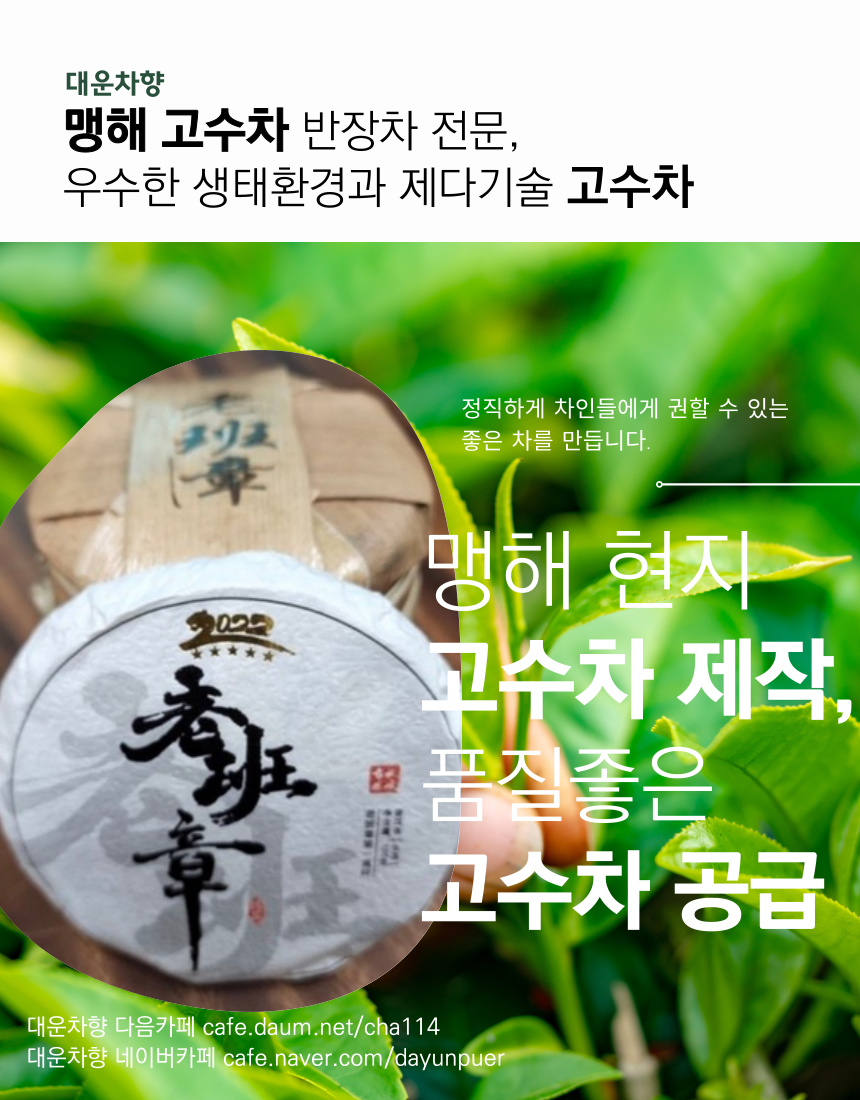 대운차향 이미지