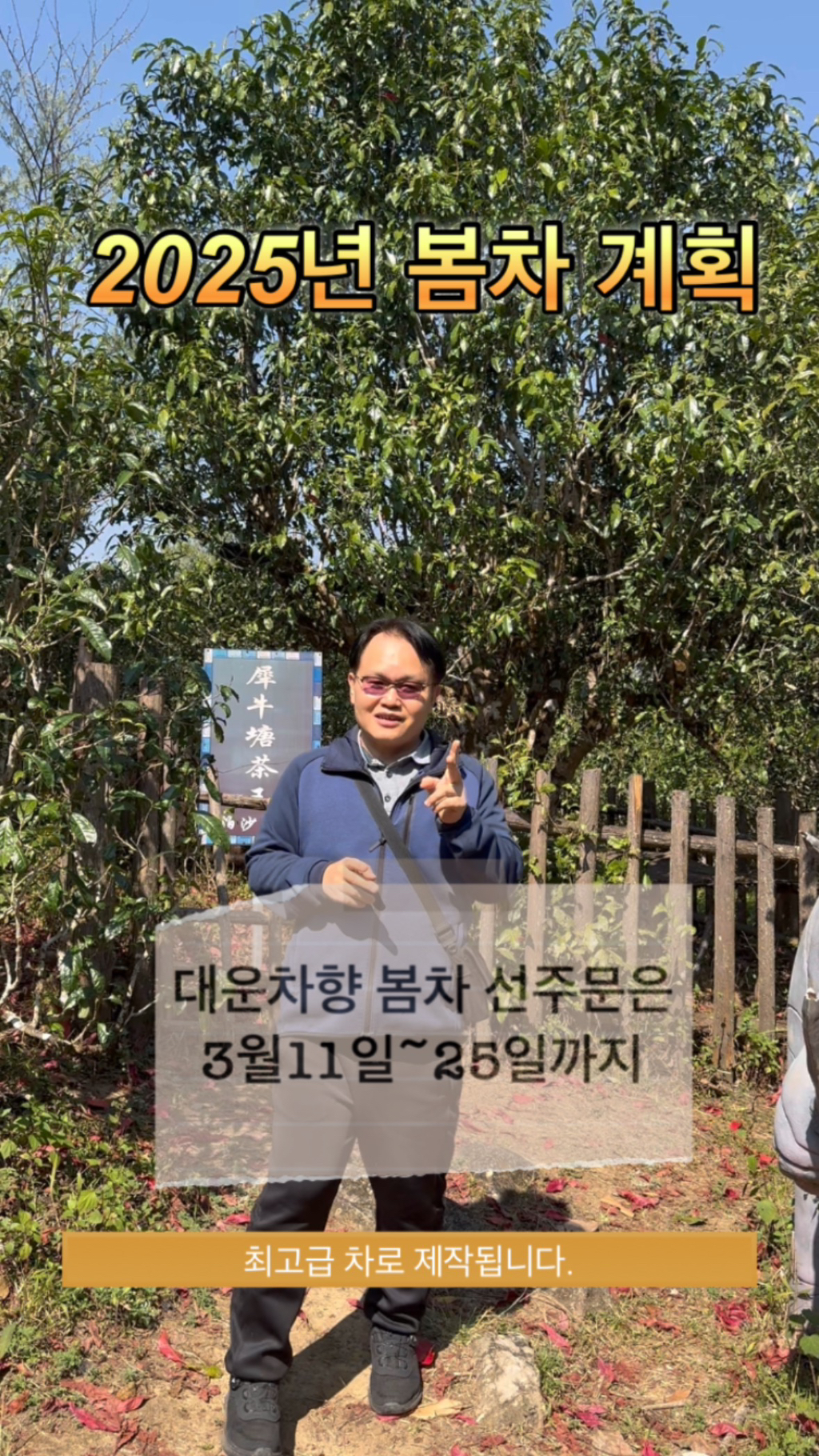대운차향 이미지