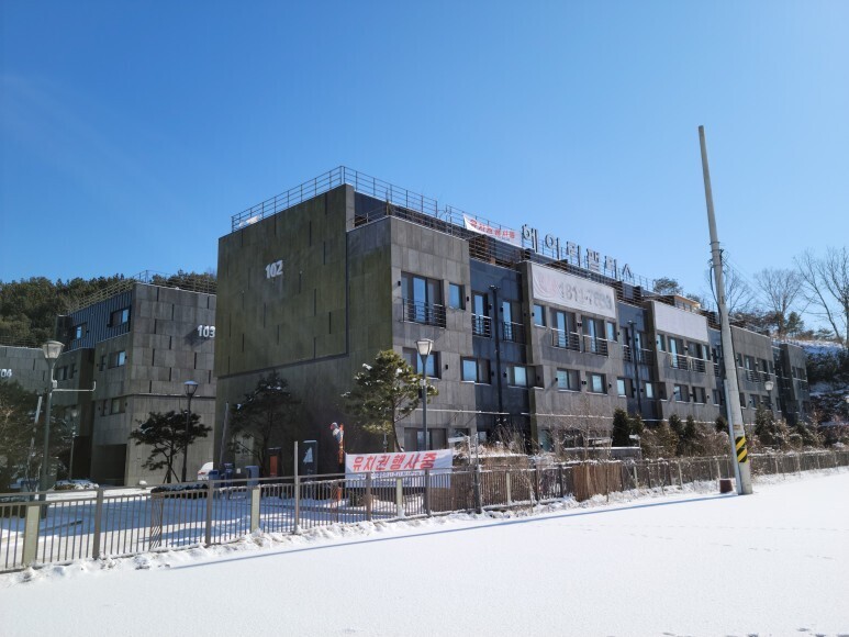 부동산202호 이미지