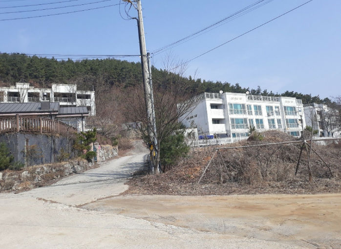 부동산202호 이미지