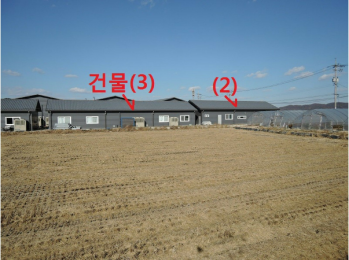 식물정 이미지