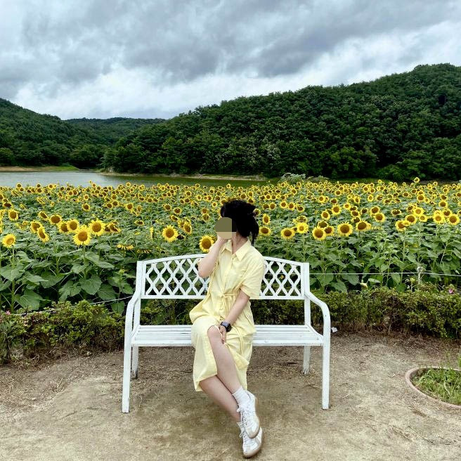 해바라기카페 이미지