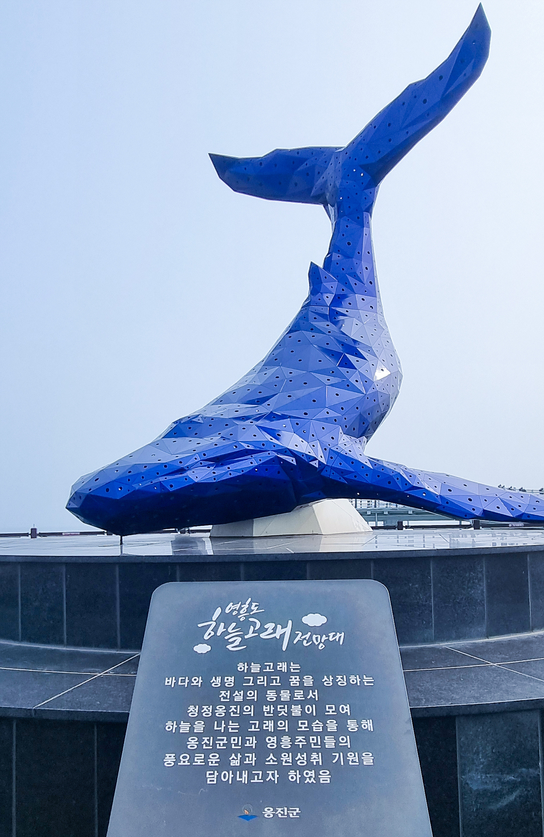 하늘고래 이미지