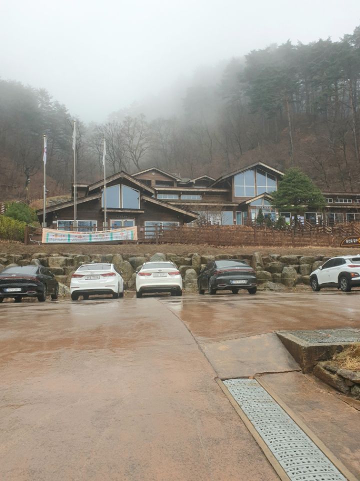 대관령 치유의 숲 이미지