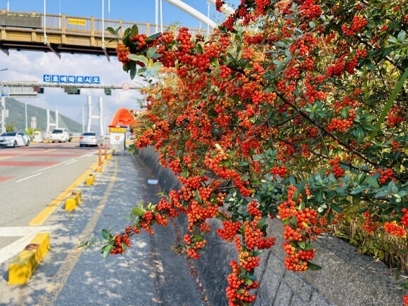 창선기술 이미지