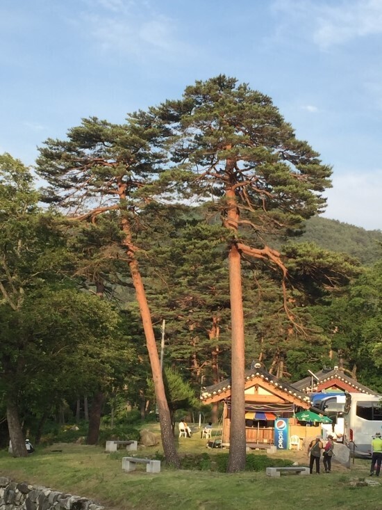 회초리 이미지
