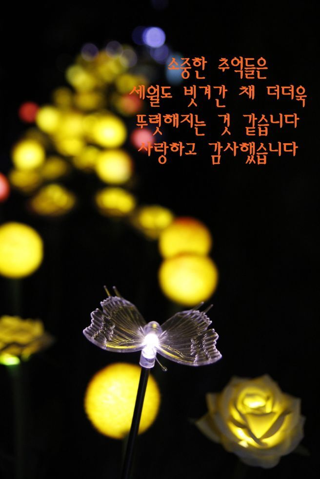 마니마니 이미지