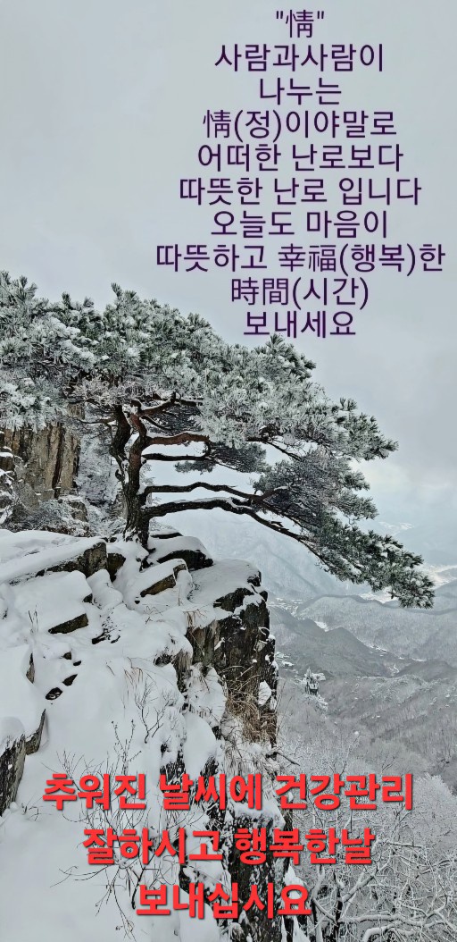 정(情) 이미지
