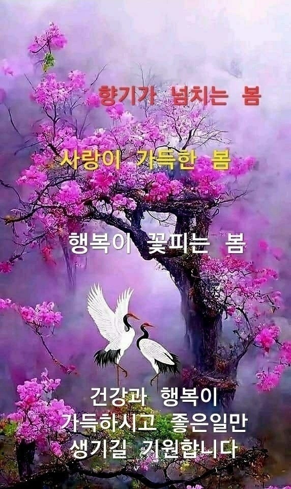 꽃피는봄 이미지