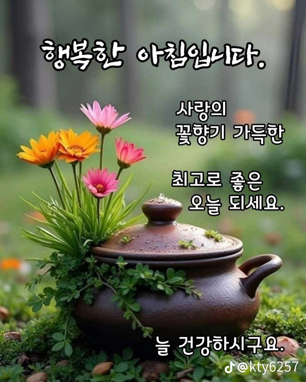 행복한 아침 이미지
