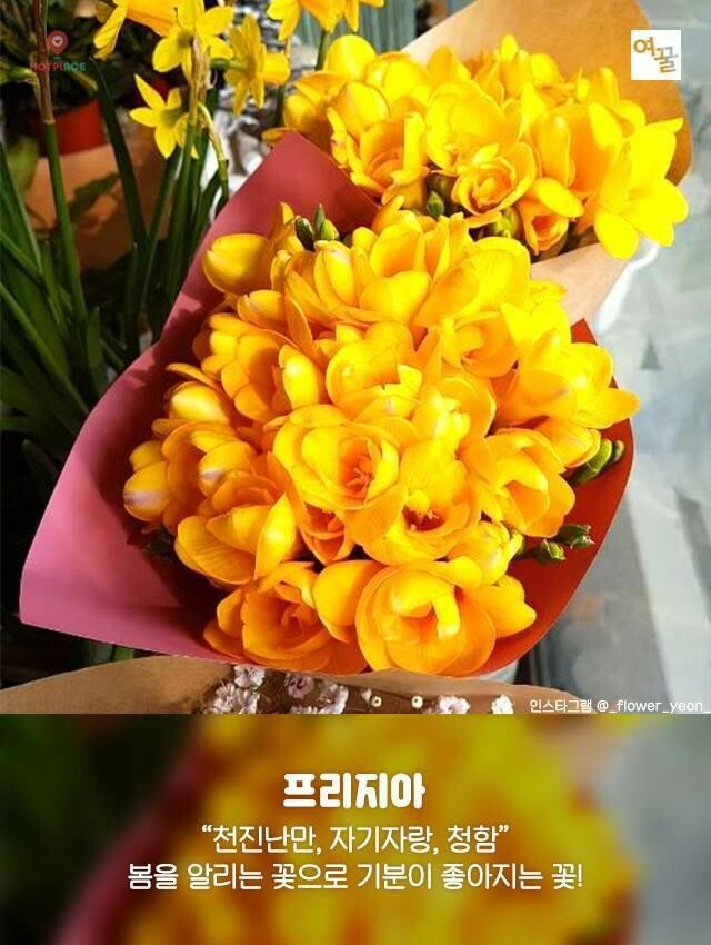 기분좋은데이 이미지
