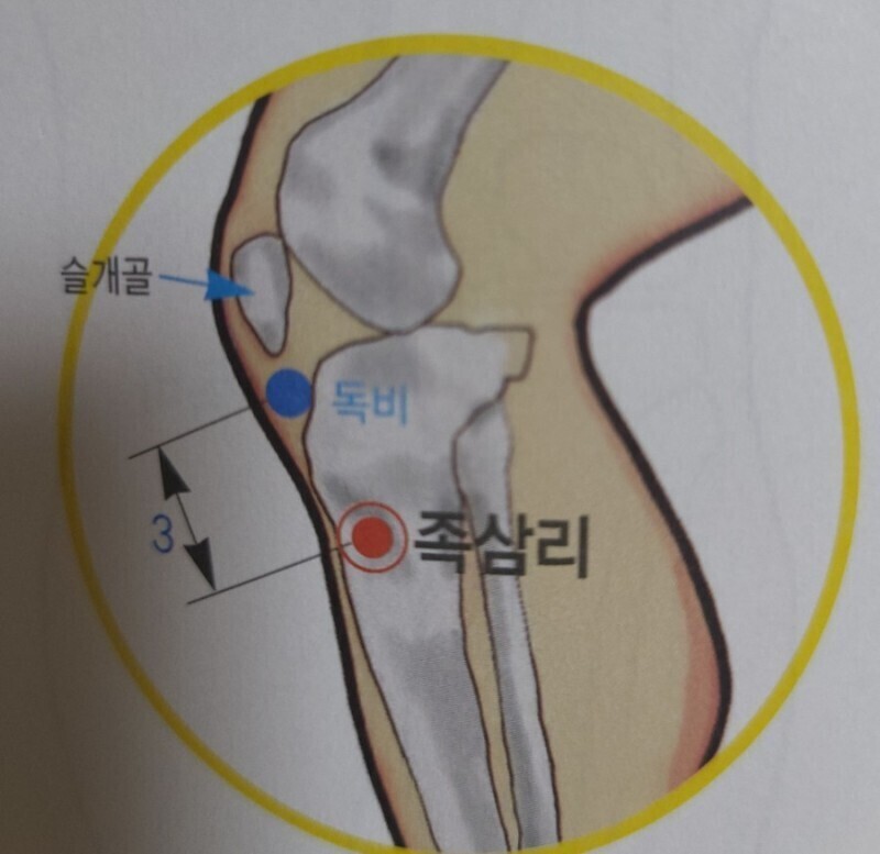 족삼리 이미지