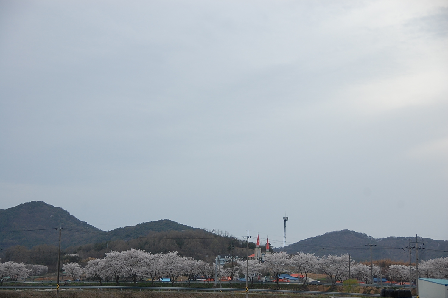 금성농약사 이미지