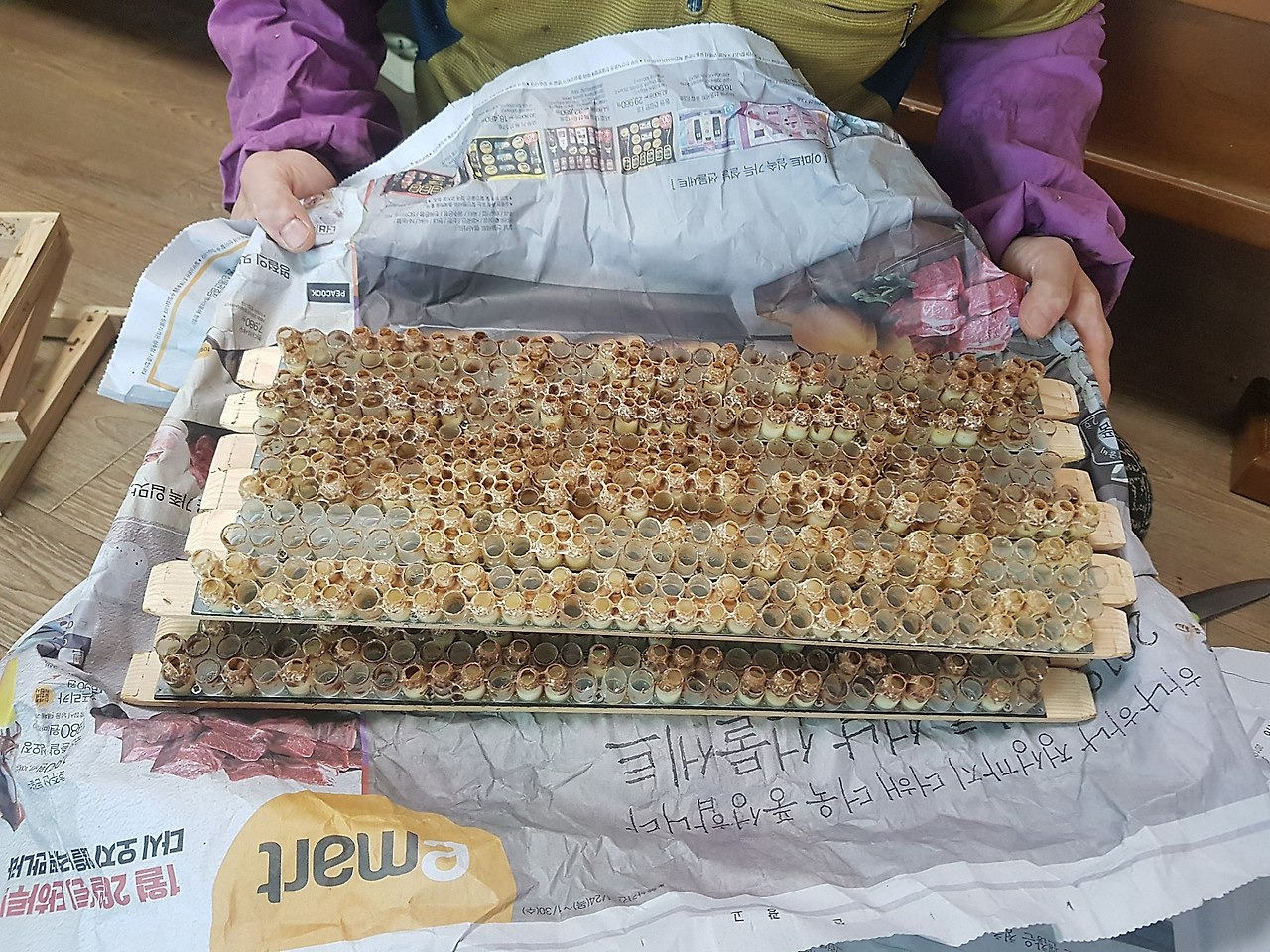 꽃골짜기 이미지