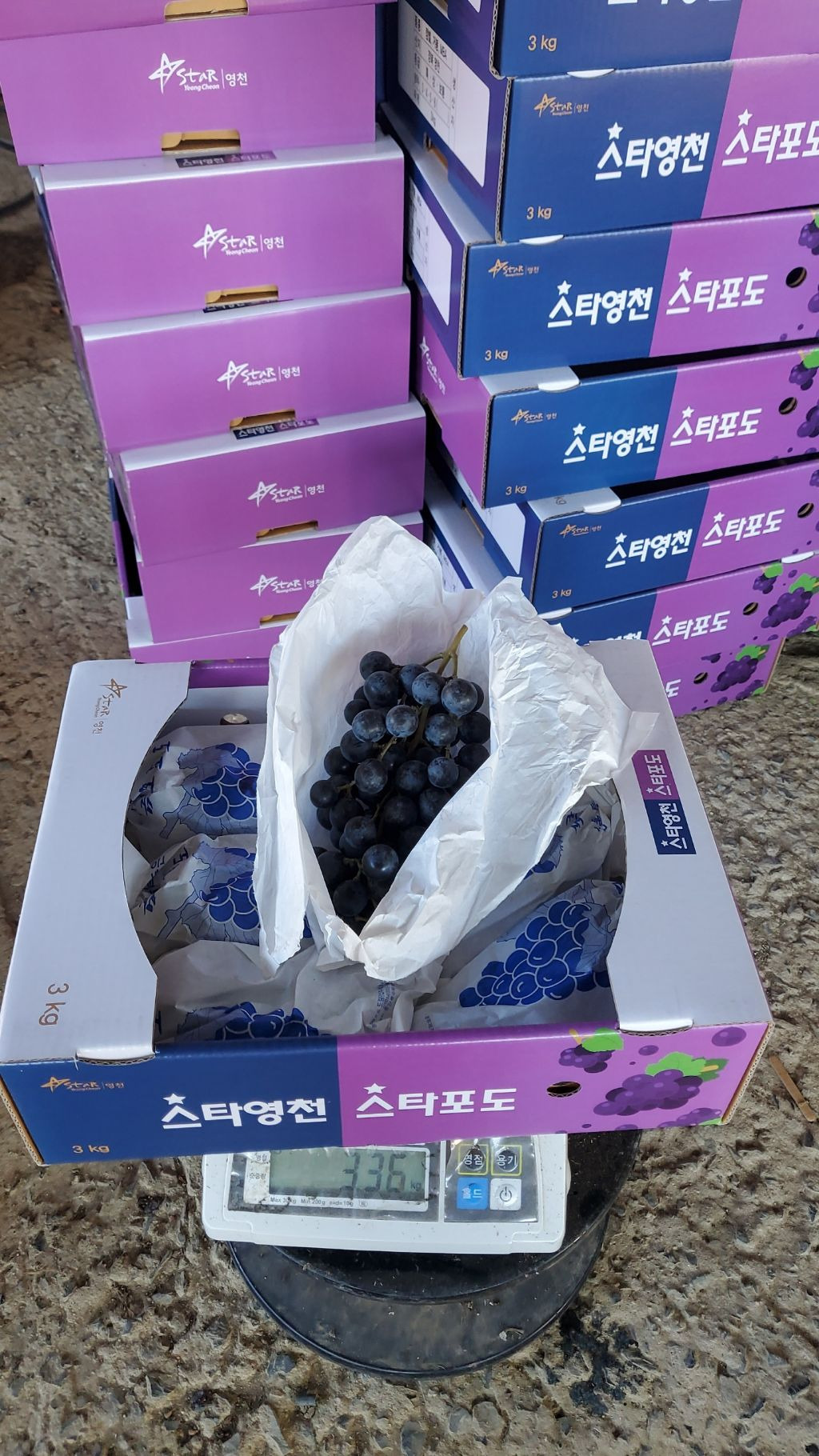 산머루 이미지