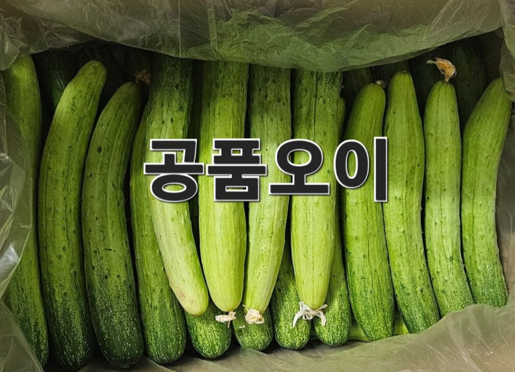 공오이이 이미지
