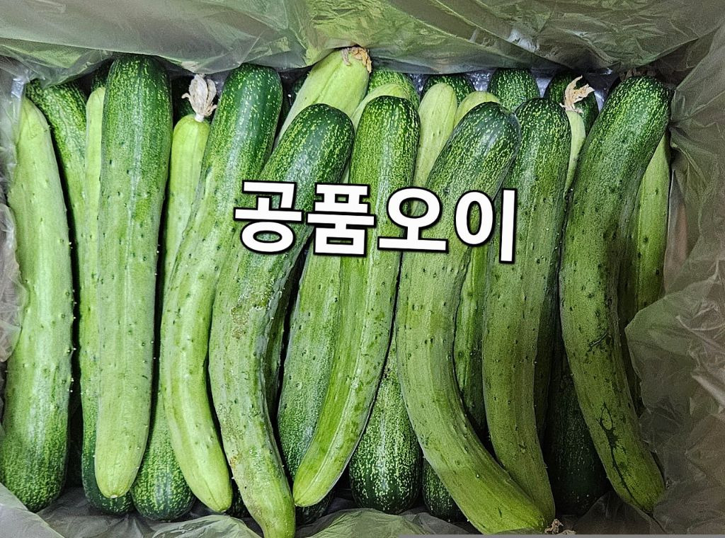 공오이이 이미지
