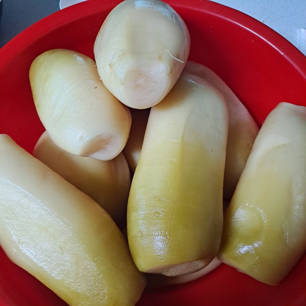 짠지네 이미지