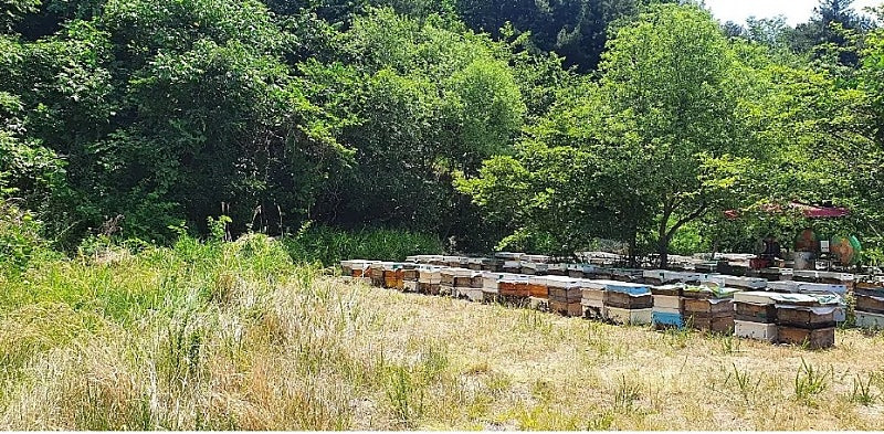 지리산농사꾼 이미지