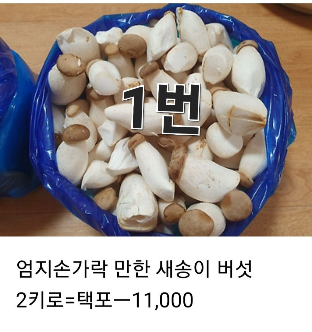 공오이이 이미지