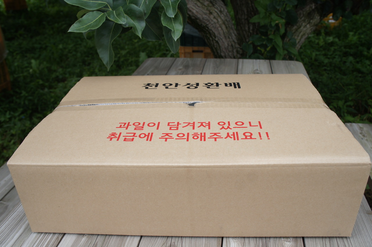 성환 이미지