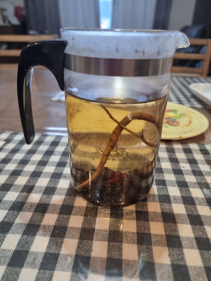 당귀사랑 이미지