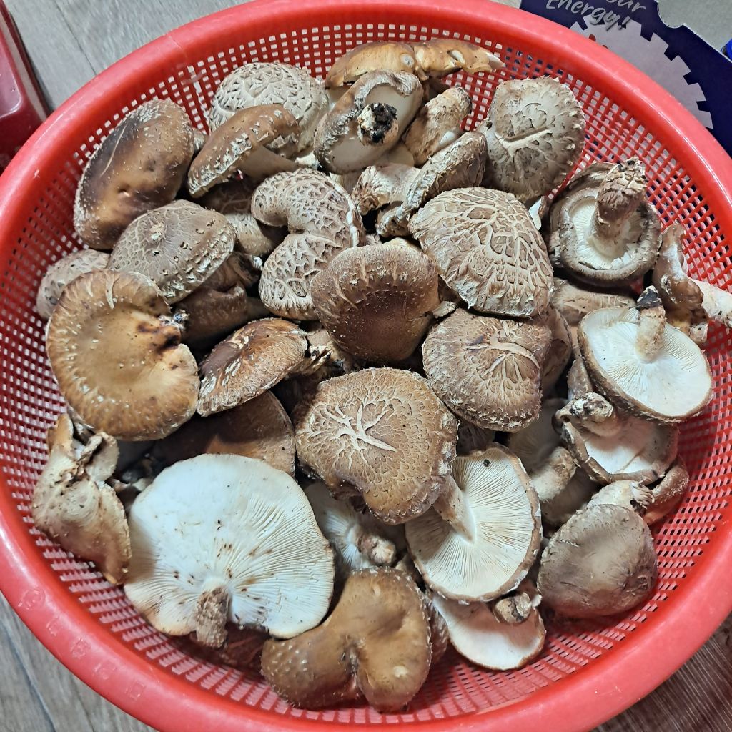 참나무식품 이미지