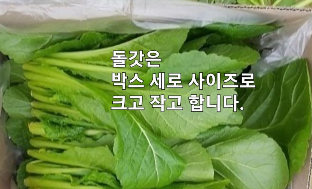 공오이이 이미지