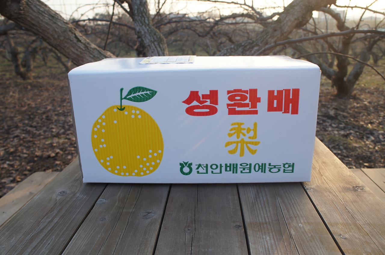 성환 이미지