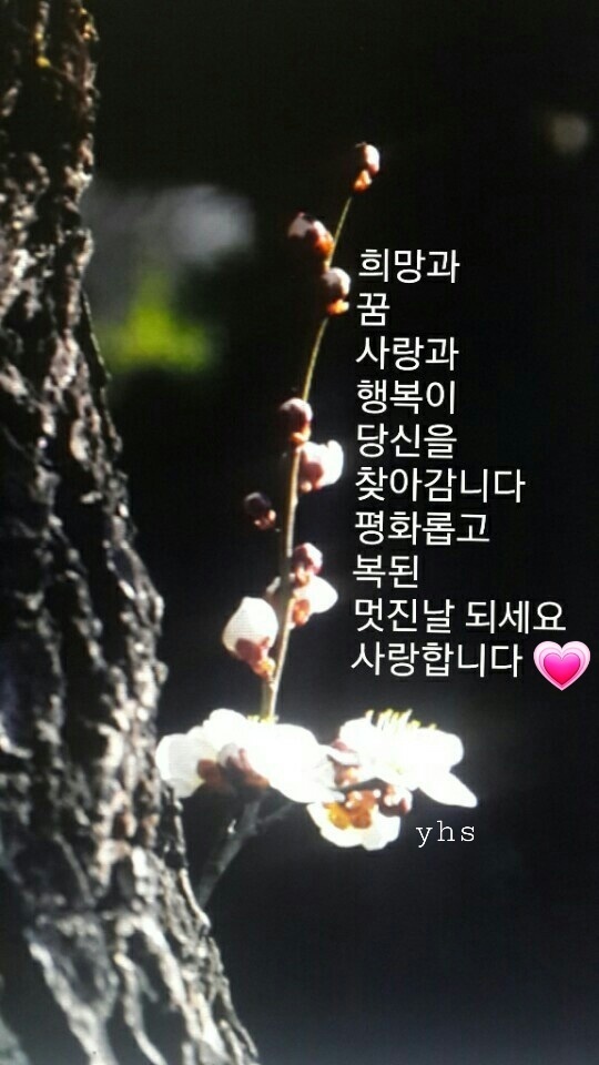 물친구 이미지