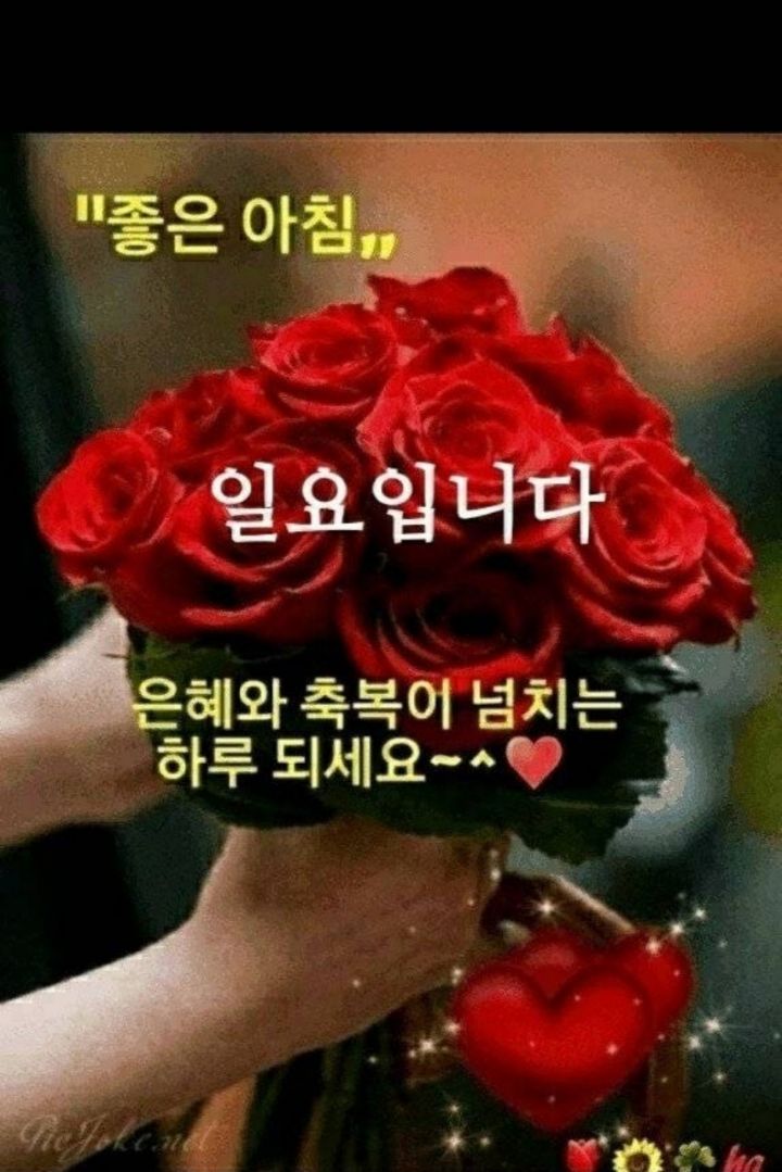 자연경관 이미지