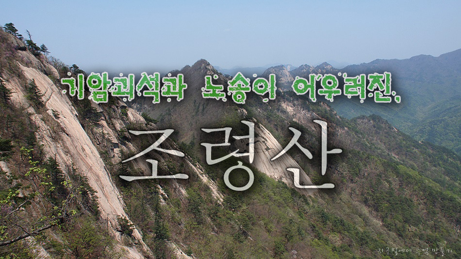 조령휴양림휴게소 이미지