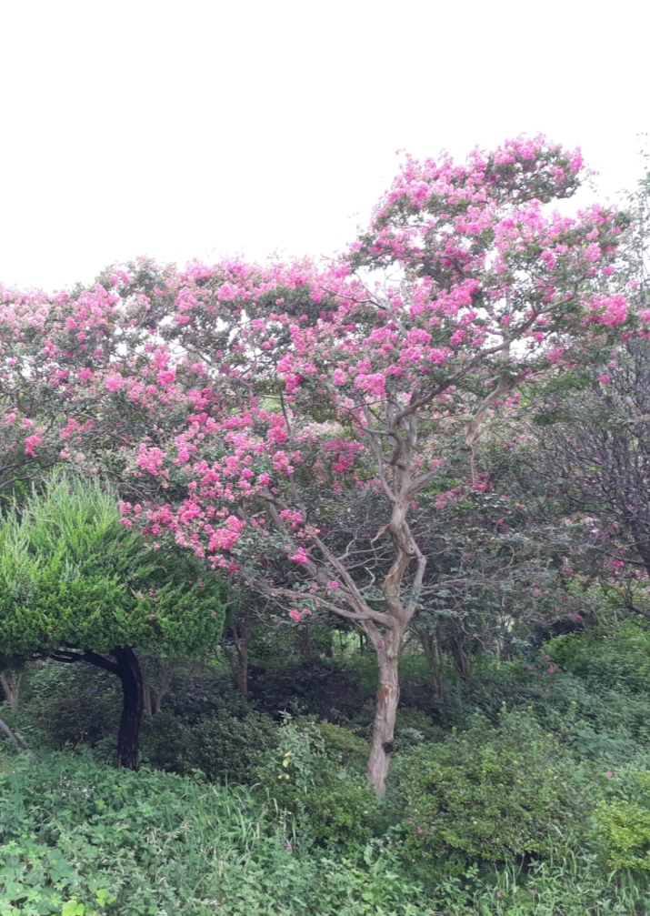 한*철 이미지